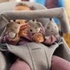 BabyBjörn Bliss šūpuļkrēsls – Sand Grey 3D Jersey – foto 4