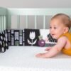 Taf Toys attīstošā grāmatiņa Urban Garden – foto 2