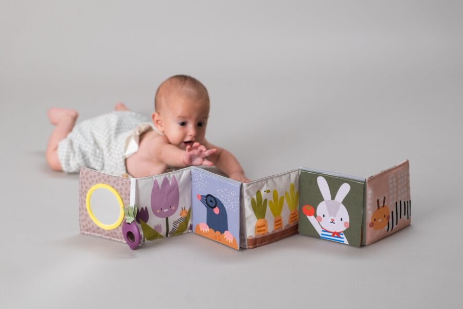 Taf Toys attīstošā grāmatiņa Urban Garden – foto 6