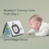 Taf Toys grāmatiņa laikam uz vēdera Savannah Tummy-Time – foto 6