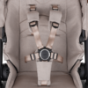 Petite&Mars Scout 2in1 Cappuccino Cream