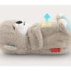 Fisher-Price nomierinātājs Ūdrs Snooze (FXC66) – foto 3