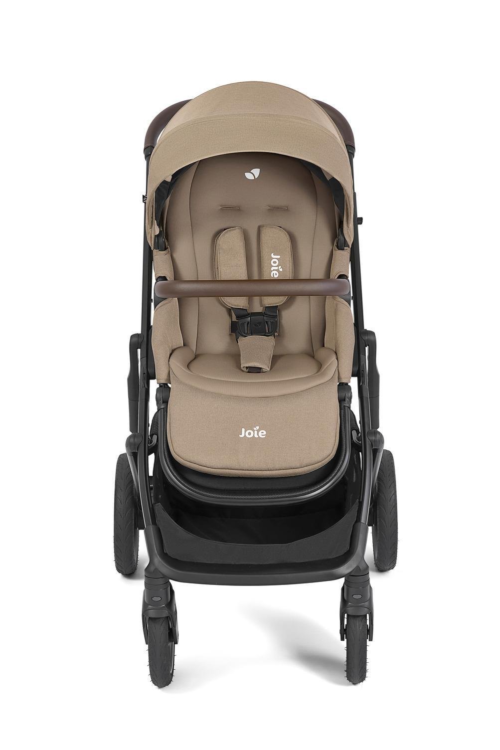 Joie Elara sporta rati Cashew – 2