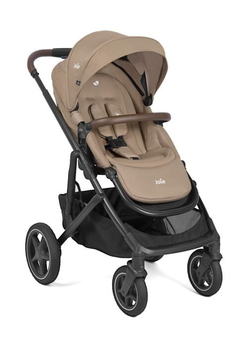 Joie Elara sporta rati Cashew – 3