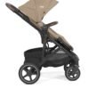 Joie Elara sporta rati Cashew – 5