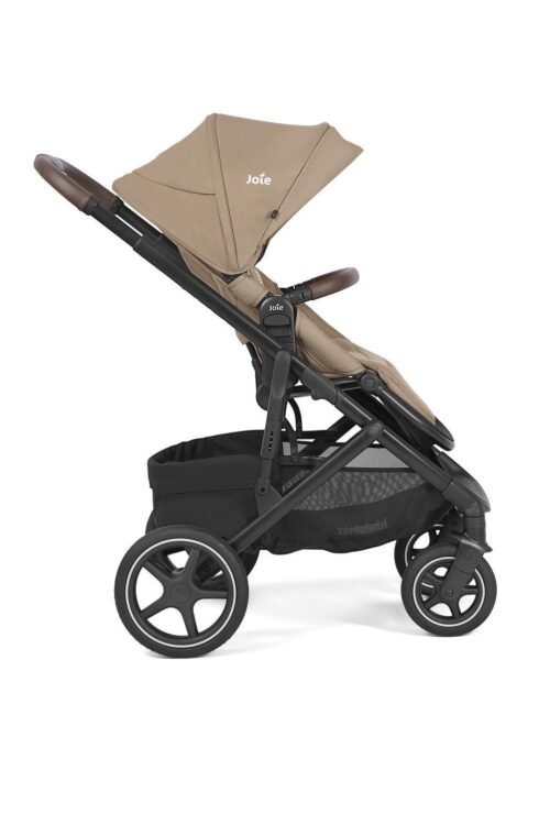 Joie Elara sporta rati Cashew – 5