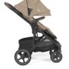 Joie Elara sporta rati Cashew – 6