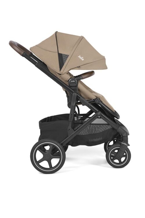 Joie Elara sporta rati Cashew – 6