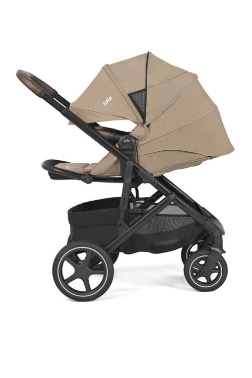 Joie Elara sporta rati Cashew – 7