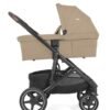 Joie Elara sporta rati Cashew – 9
