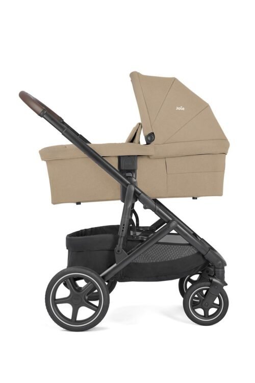 Joie Elara sporta rati Cashew – 9