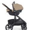 Joie Elara sporta rati Cashew – 10