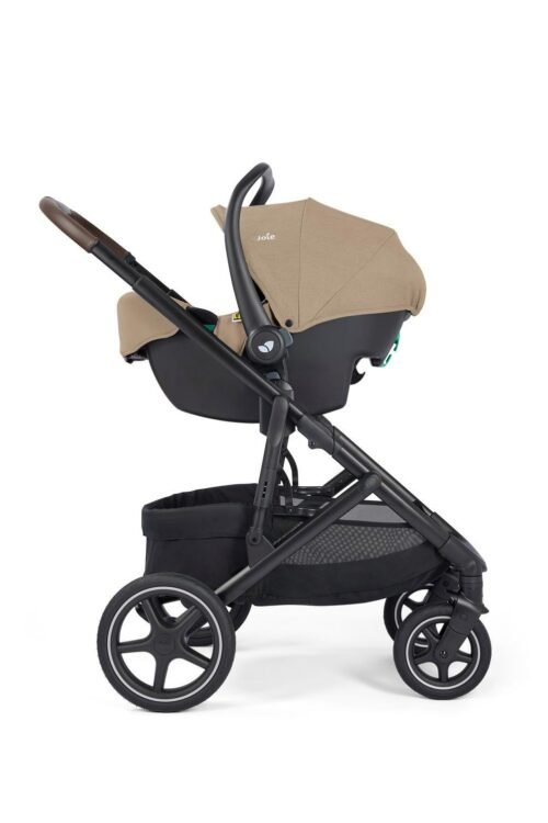 Joie Elara sporta rati Cashew – 10