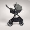 Joie Finiti sporta rati Evergreen – 9