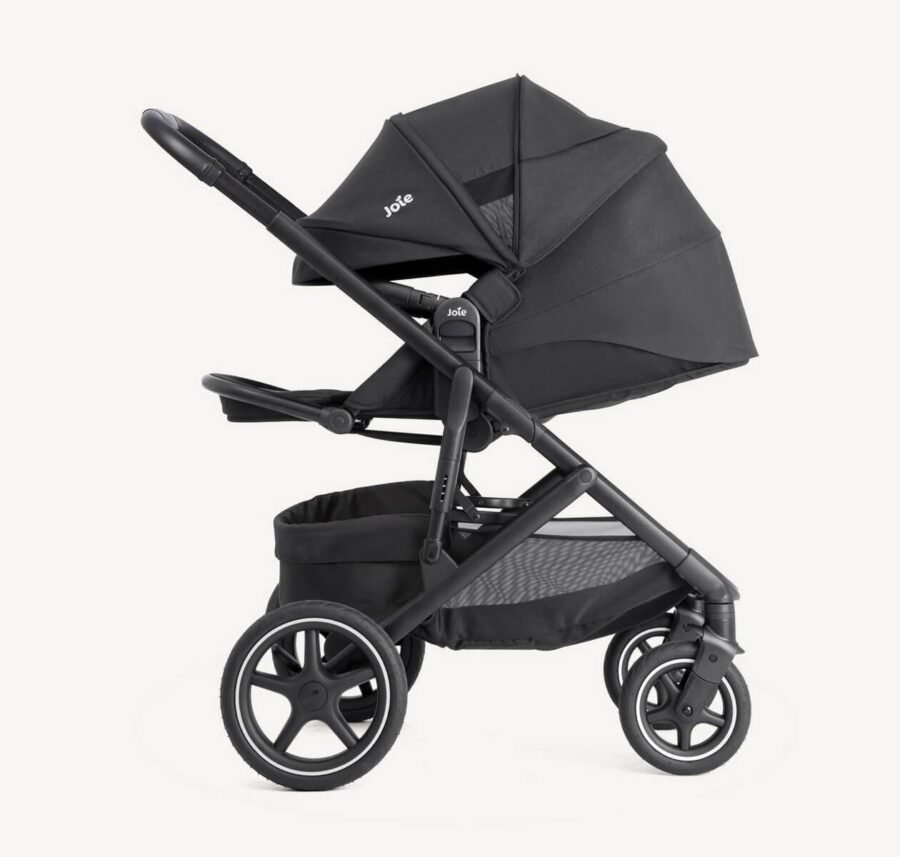 Joie Elara sporta rati Raven – 3