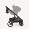 Joie Elara sporta rati Raven – 7